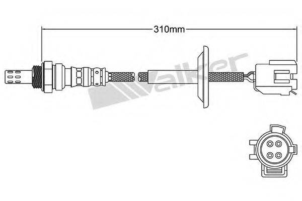 WALKER PRODUCTS 25024081 Лямбда-зонд