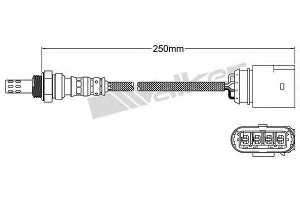 WALKER PRODUCTS 25024966 Лямбда-зонд