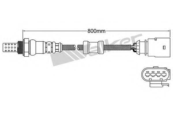 WALKER PRODUCTS 25024672 Лямбда-зонд