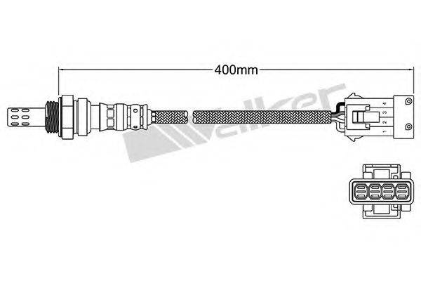 WALKER PRODUCTS 25024972 Лямбда-зонд