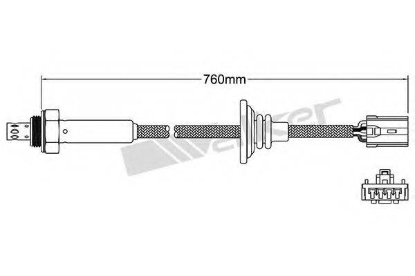 WALKER PRODUCTS 25024541 Лямбда-зонд