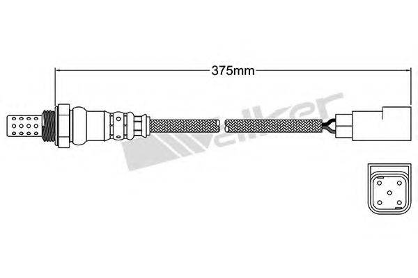 WALKER PRODUCTS 25024283 Лямбда-зонд