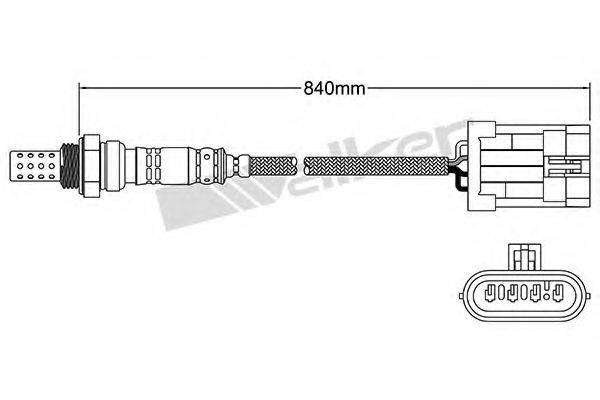 WALKER PRODUCTS 25024406 Лямбда-зонд