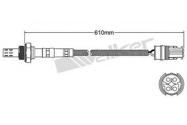 WALKER PRODUCTS 25024419 Лямбда-зонд