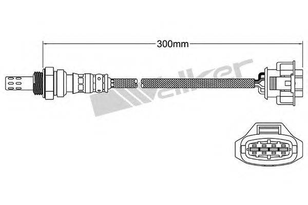 WALKER PRODUCTS 250241030 Лямбда-зонд