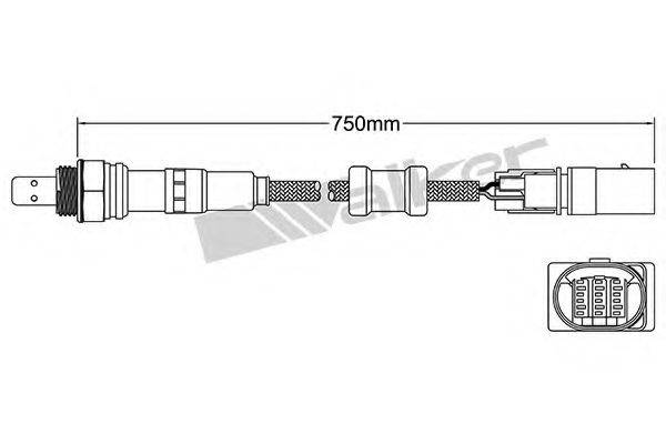 WALKER PRODUCTS 25025092 Лямбда-зонд