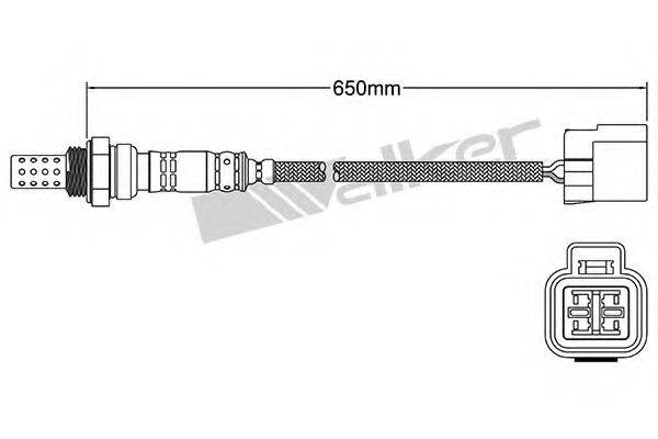 WALKER PRODUCTS 250241031 Лямбда-зонд