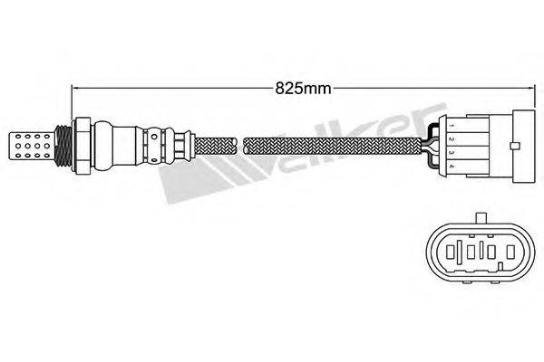 WALKER PRODUCTS 250241060 Лямбда-зонд