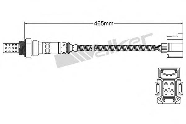 WALKER PRODUCTS 25024276 Лямбда-зонд