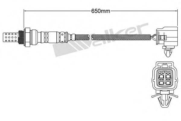 WALKER PRODUCTS 25024782 Лямбда-зонд