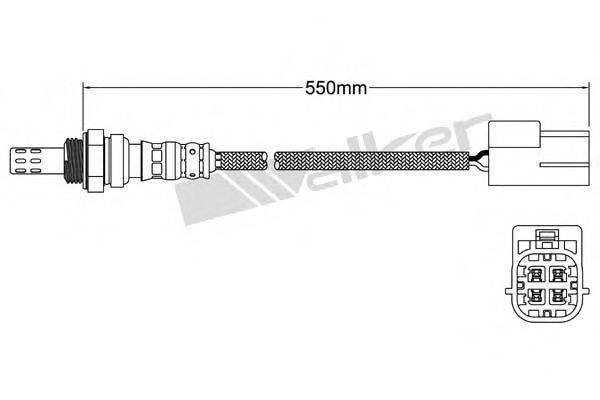 WALKER PRODUCTS 250241081 Лямбда-зонд