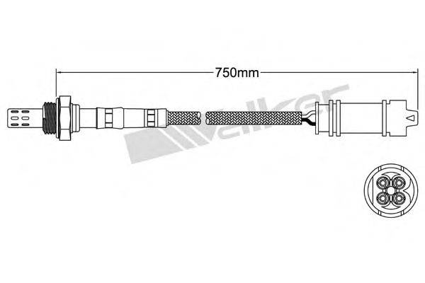 WALKER PRODUCTS 250241092 Лямбда-зонд