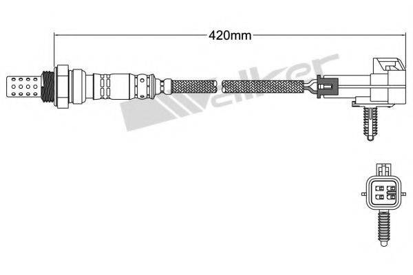 WALKER PRODUCTS 25024704 Лямбда-зонд