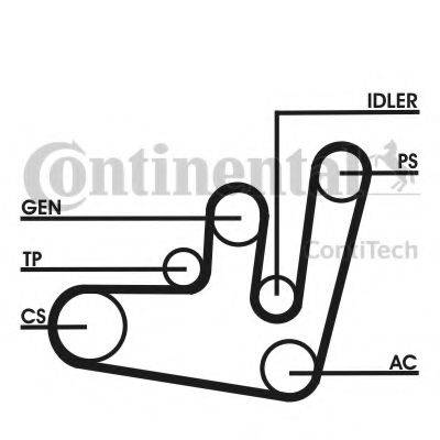 CONTITECH 6PK1660D1 Полікліновий ремінний комплект