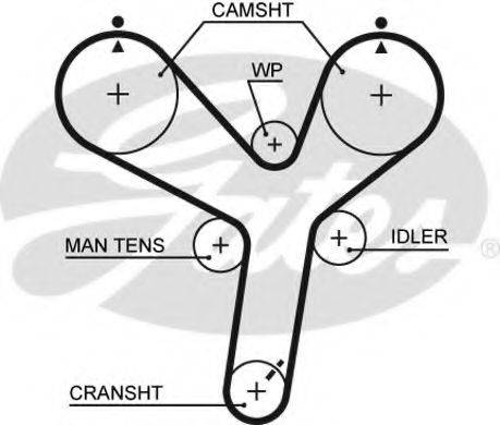GATES 5536XS Ремінь ГРМ