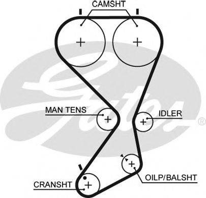GATES 5556XS Ремінь ГРМ