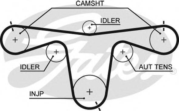 GATES 5594XS Ремінь ГРМ