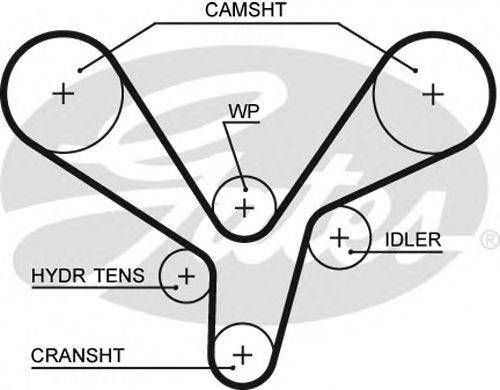 GATES 5636XS Ремінь ГРМ