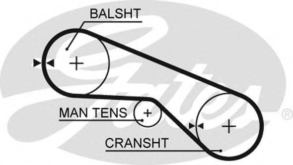 GATES T280 Ремінь ГРМ
