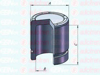 AUTOFREN SEINSA D025301 Поршень, корпус скоби гальма