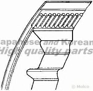 ASHUKI 03150011 Полікліновий ремінь