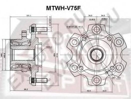 ASVA MTWHV75F Маточина колеса