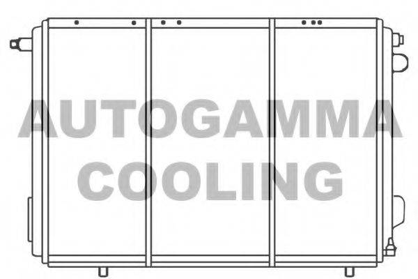 AUTOGAMMA 100034 Радіатор, охолодження двигуна