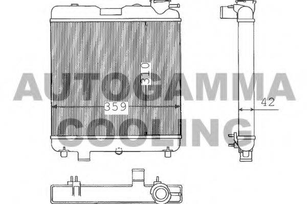 AUTOGAMMA 100289 Радіатор, охолодження двигуна
