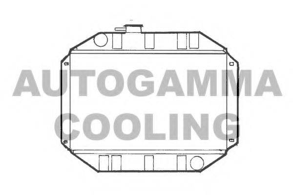 AUTOGAMMA 100320 Радіатор, охолодження двигуна