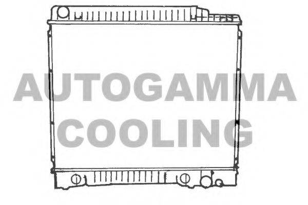 AUTOGAMMA 100537 Радіатор, охолодження двигуна