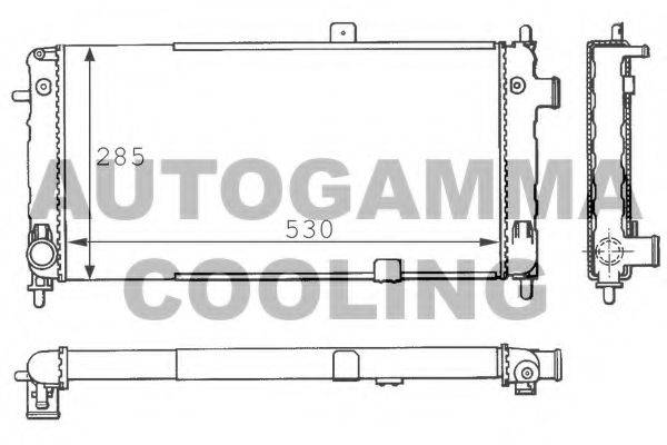AUTOGAMMA 100705 Радіатор, охолодження двигуна
