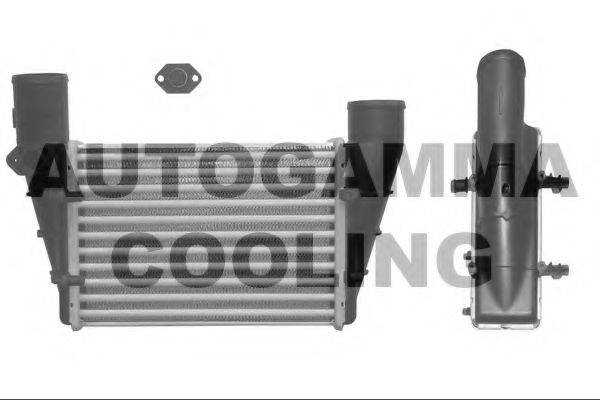 AUTOGAMMA 101858 Інтеркулер