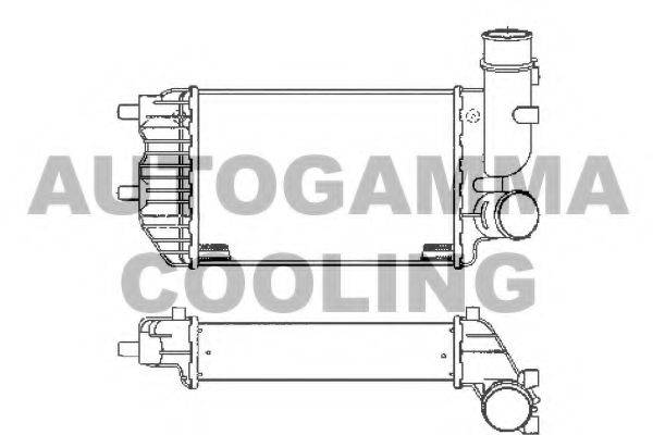 AUTOGAMMA 101888 Інтеркулер
