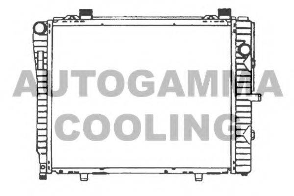 AUTOGAMMA 102166 Радіатор, охолодження двигуна