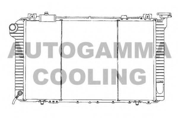 AUTOGAMMA 102191 Радіатор, охолодження двигуна