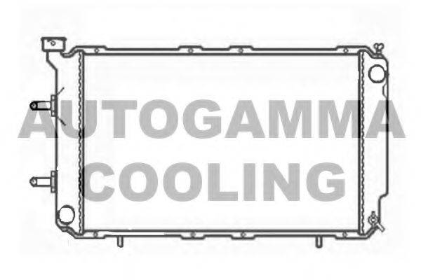 AUTOGAMMA 102312 Радіатор, охолодження двигуна