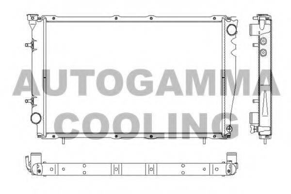 AUTOGAMMA 102317 Радіатор, охолодження двигуна