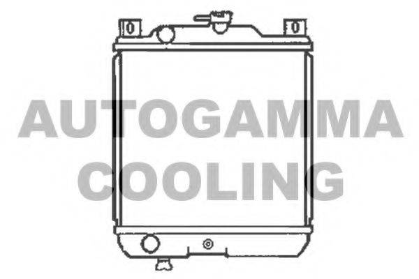 AUTOGAMMA 102339 Радіатор, охолодження двигуна
