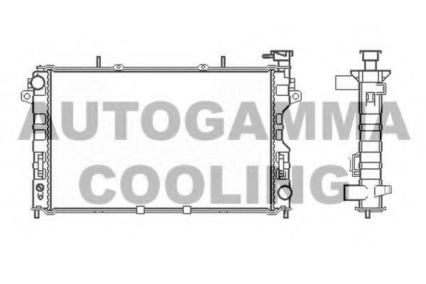 AUTOGAMMA 102862 Радіатор, охолодження двигуна