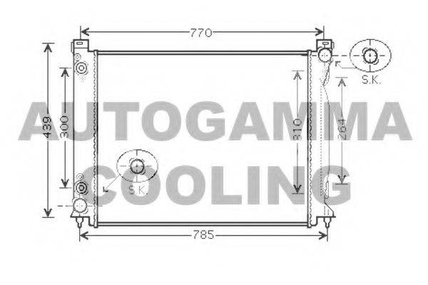 AUTOGAMMA 104250 Радіатор, охолодження двигуна