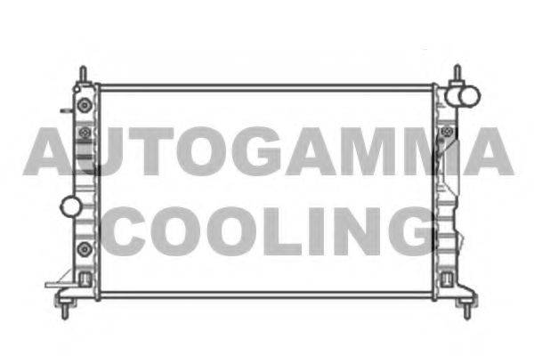 AUTOGAMMA 104316 Радіатор, охолодження двигуна