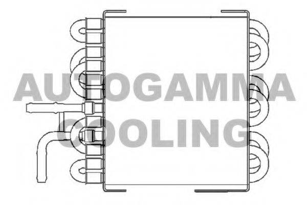 AUTOGAMMA 104686 Радіатор, охолодження двигуна