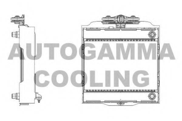 AUTOGAMMA 107010 Радіатор, охолодження двигуна