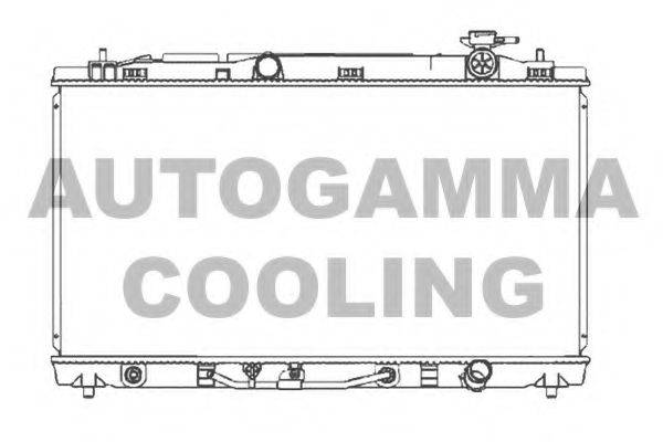 AUTOGAMMA 107062 Радіатор, охолодження двигуна