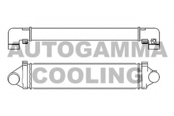 AUTOGAMMA 107481 Інтеркулер