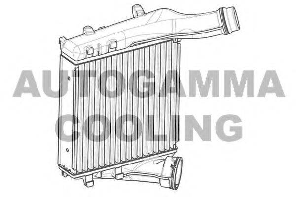 AUTOGAMMA 107553 Інтеркулер