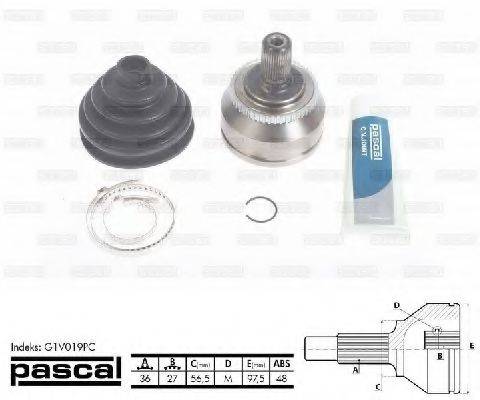 PASCAL G1V019PC Шарнірний комплект, приводний вал