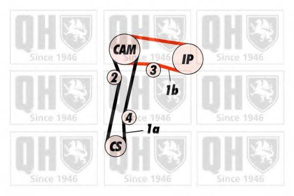 QUINTON HAZELL QBK256 Комплект ременя ГРМ