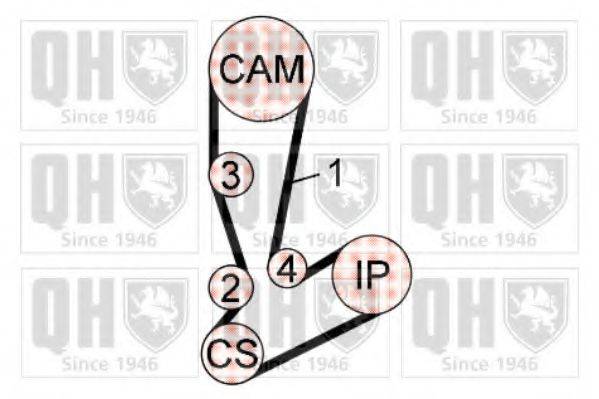 QUINTON HAZELL QBK706 Комплект ременя ГРМ